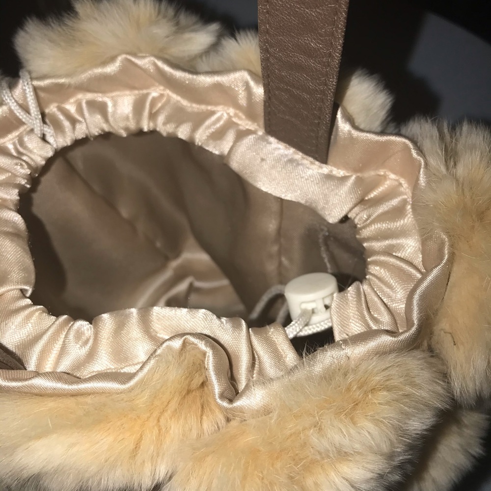 REX CHINCHILLA ROSETTES - Picture 4 of 6